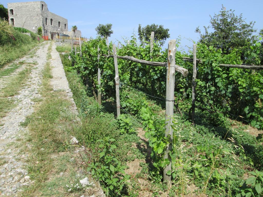 Mira Amalfi Apartamento Agerola Exterior foto